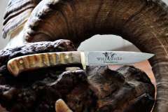 custom-trophy-knife-wild-sheep-foundation